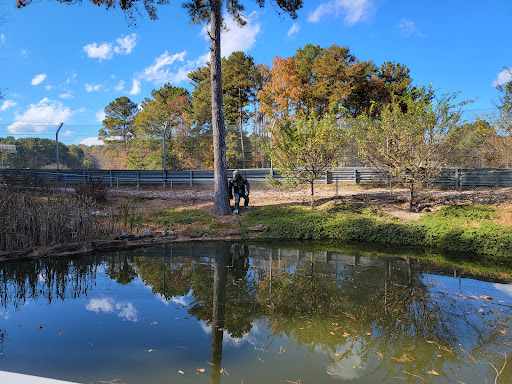 Museum «Barber Vintage Motorsports Museum», reviews and photos, 6030 Barber Motorsports Pkwy, Leeds, AL 35094, USA
