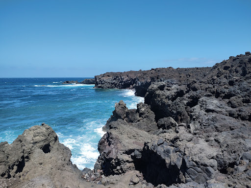 Todas