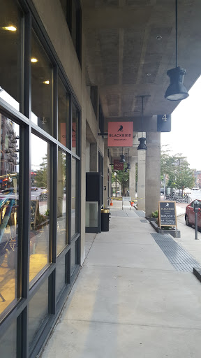 Donut Shop «Blackbird Doughnuts», reviews and photos, 492 Tremont St, Boston, MA 02116, USA