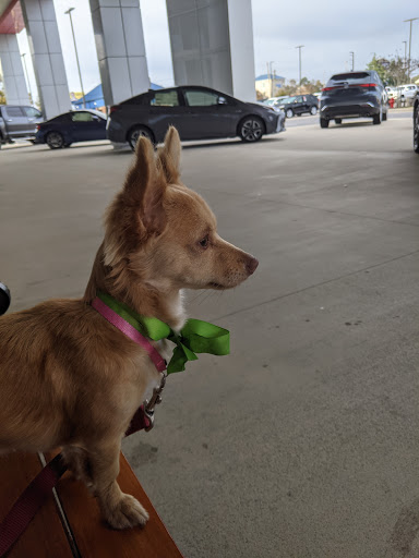 Toyota Dealer «Toyota of Fort Walton Beach», reviews and photos, 1006 Beal Pkwy NW, Fort Walton Beach, FL 32547, USA