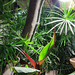 Photo n°6 de l'avis de Alves.i fait le 14/05/2024 à 08:27 sur le  Ristorante La Siciliana Cefalù à Cefalù