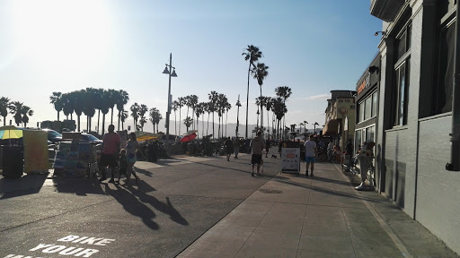 Venice Beach Surf School