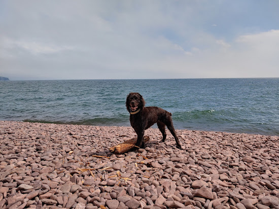 Iona's Beach