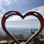 Photo n°2 de l'avis de Mimi. fait le 12/03/2024 à 11:25 sur le  Schaumberg Alm à Tholey