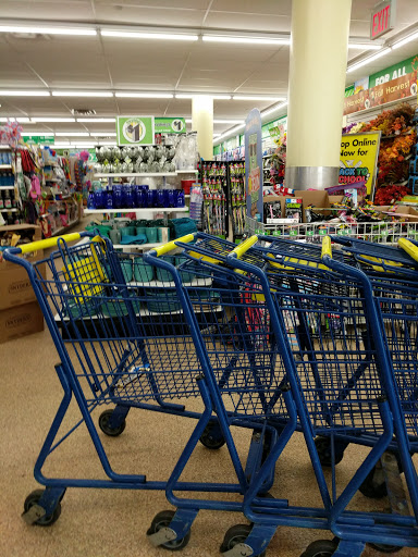 Dollar Store «Dollar Tree», reviews and photos, 3909 Queens Blvd, Sunnyside, NY 11104, USA