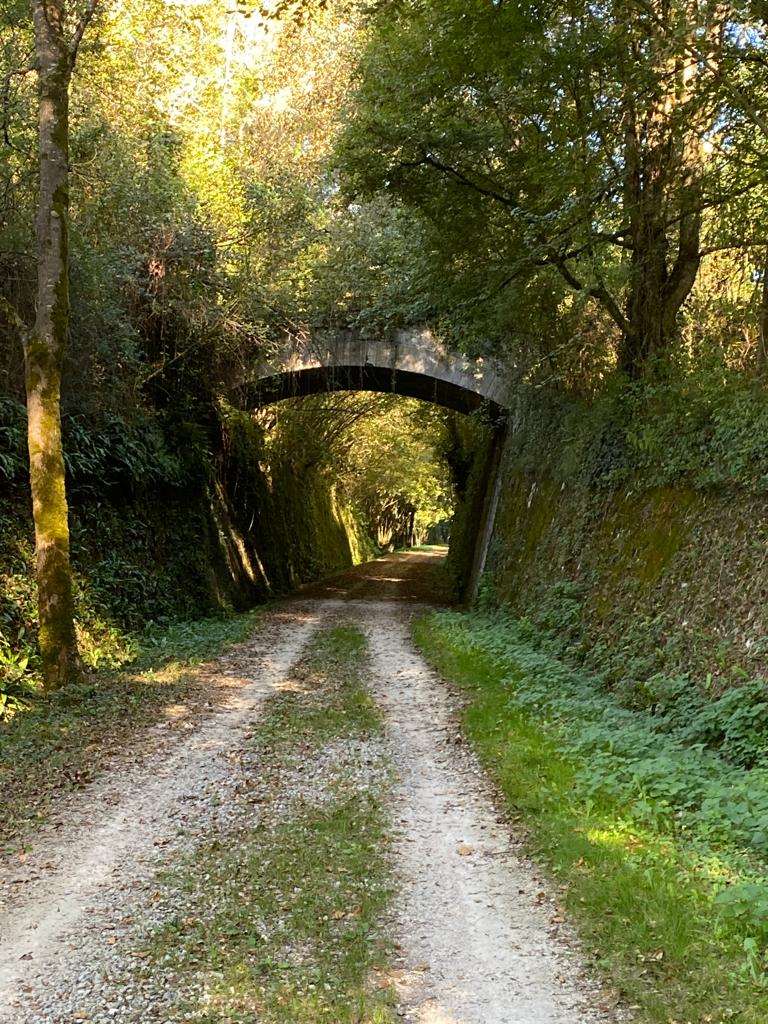 Photo n° 6 de l'avis de Bertolino.h fait le 18/10/2023 à 05:46