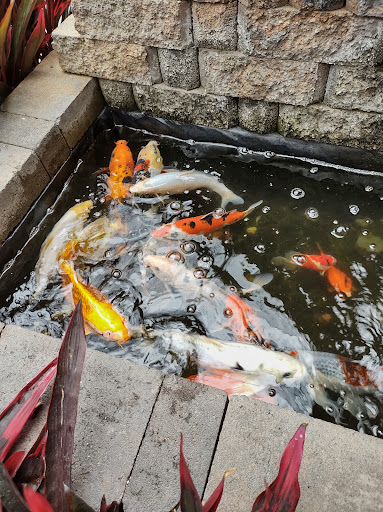 Home Improvement Store «The Home Depot», reviews and photos, 3200 Puente Ave, Baldwin Park, CA 91706, USA