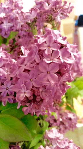 Florist «Elite Flowers and Gifts», reviews and photos, 20280 N 59th Ave #116, Glendale, AZ 85308, USA