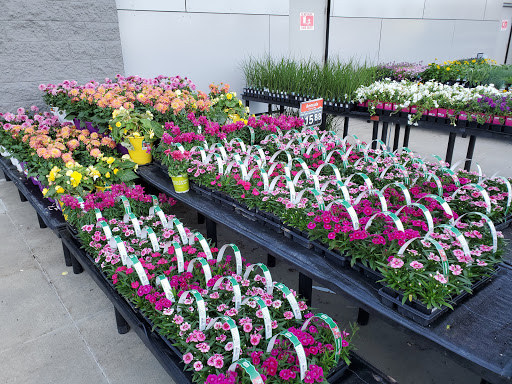 Department Store «Walmart Supercenter», reviews and photos, 141 Springfield Rd, Westfield, MA 01085, USA