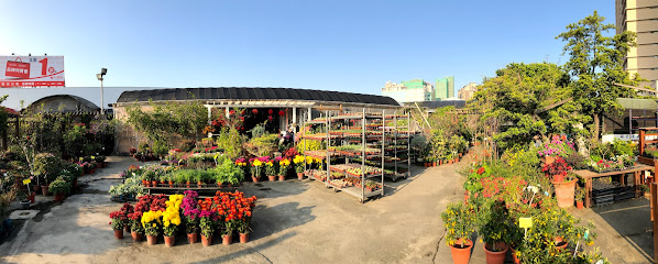 福運隆園藝 Flora Garden(新竹店)