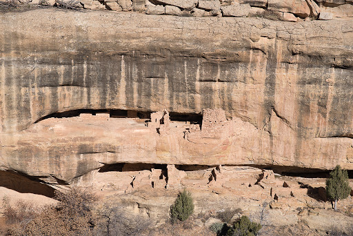 Archaeological Site «Cliff Palace», reviews and photos