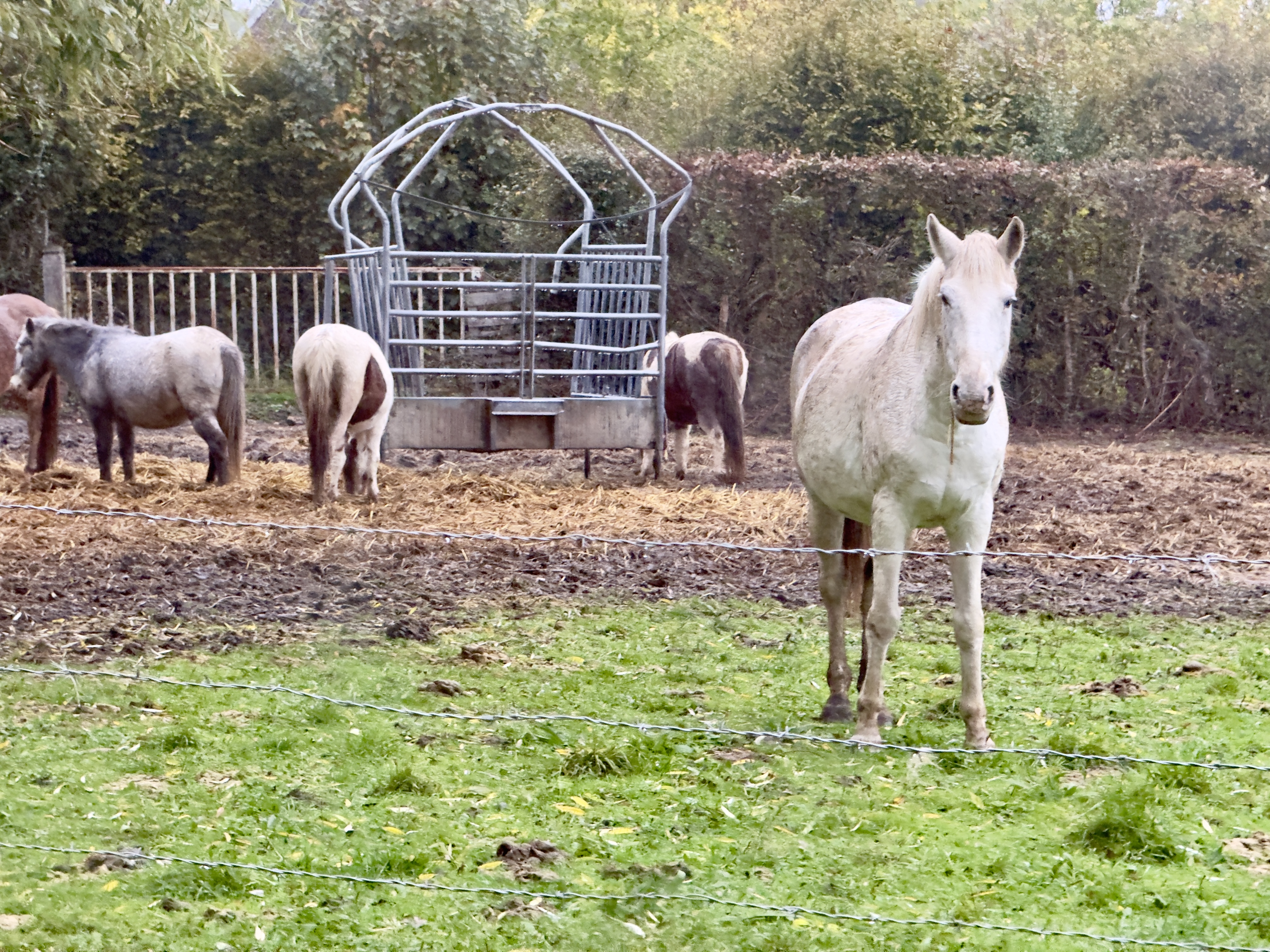 Photo n° 12 de l'avis de Benji.r fait le 29/10/2023 à 14:16