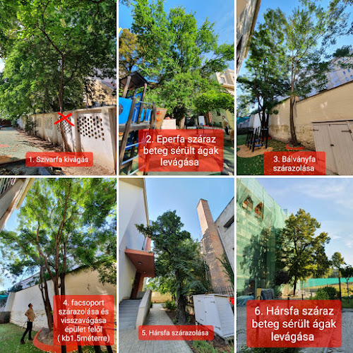 Comentarii opinii despre Famaszo.hu