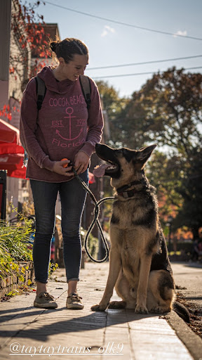 Dog Trainer «Off Leash K9 Training, Charlottesville», reviews and photos, 8782 Seminole Trail, Ruckersville, VA 22968, USA