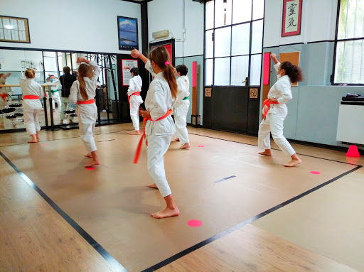 Martial arts classes Milan