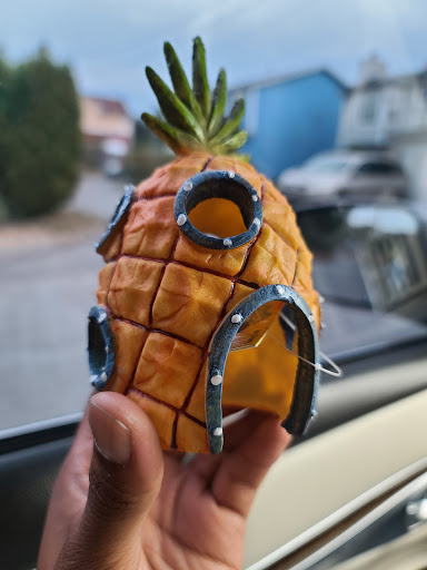 Pet Supply Store «Petco Animal Supplies», reviews and photos, 2001 15th Ave W b, Seattle, WA 98119, USA