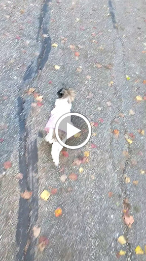 Park «Herman Brown Park», reviews and photos, 400 Mercury Dr, Houston, TX 77013, USA