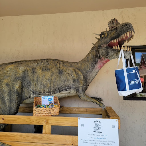 Outlet Store «Tanger Outlet Blowing Rock», reviews and photos, 278 Shoppes on the Parkway Rd, Blowing Rock, NC 28605, USA