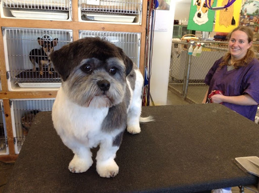 Pet Groomer «My Pal Pet Supplies & Grooming», reviews and photos, 817 W Napa St, Sonoma, CA 95476, USA