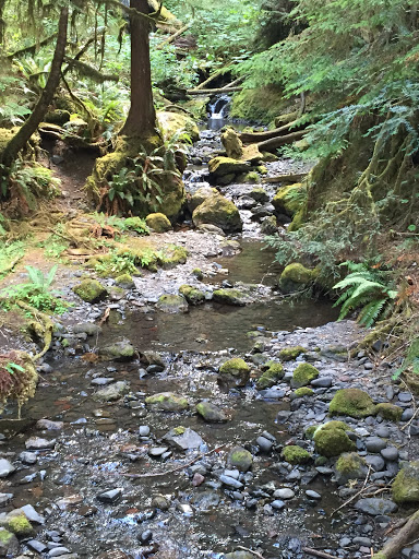 Outdoor Sports Store «The Local Hiker», reviews and photos, 173 E Main St, Spartanburg, SC 29306, USA