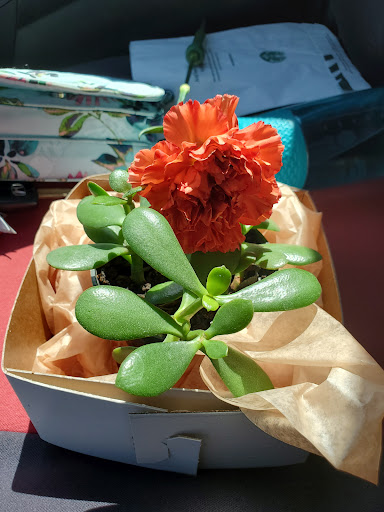 Florist «Blossom Boutique Florist», reviews and photos, 611 Pottstown Pike, Exton, PA 19341, USA