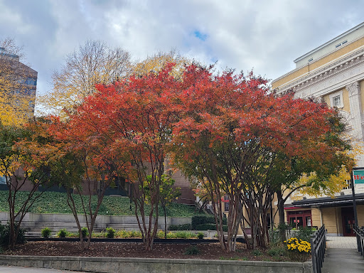 Movie Theater «The Carolina Theatre», reviews and photos, 309 W Morgan St, Durham, NC 27701, USA