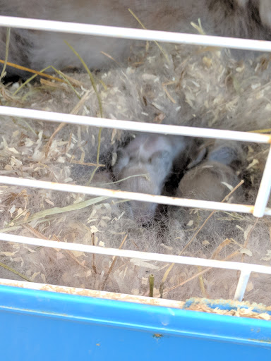 Pond Fish Supplier «Aquarium & Imports Inc.», reviews and photos, 2639 Hendersonville Rd, Arden, NC 28704, USA