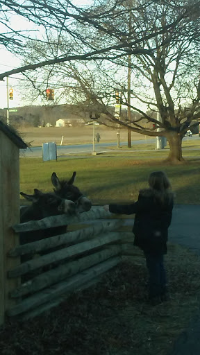 Funeral Home «Charles C Young Funeral Home», reviews and photos, 4032 Hamilton Cleves Rd, Fairfield, OH 45014, USA