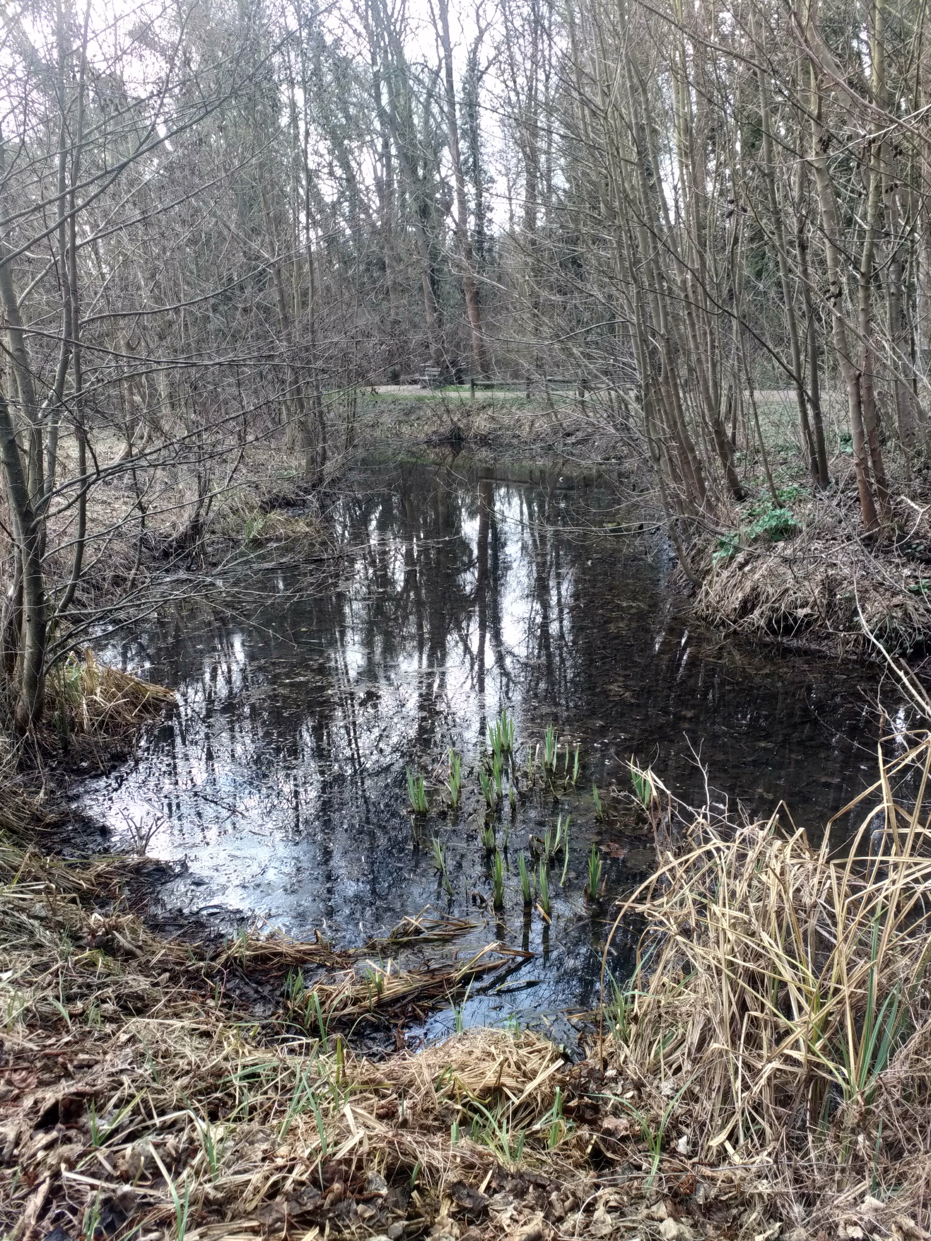 Photo n° 9 de l'avis de Françoise.E fait le 12/03/2021 à 11:33