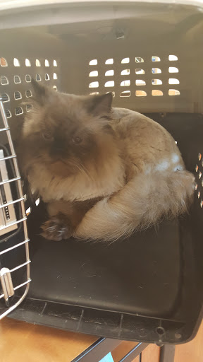 Pet Supply Store «PetSmart», reviews and photos, 159 N Weber Rd, Bolingbrook, IL 60490, USA