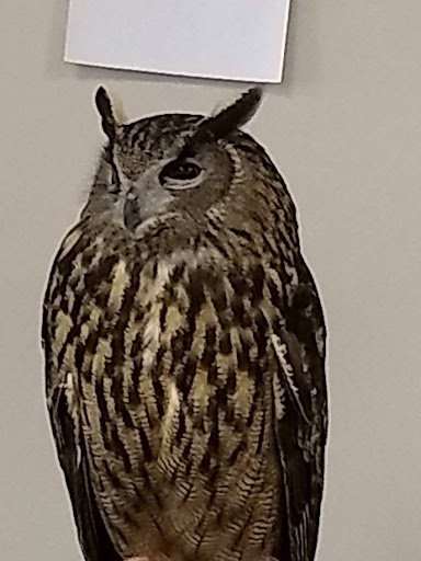 Park «Martha Lafite Thompson Nature Sanctuary», reviews and photos, 407 N La Frenz Rd, Liberty, MO 64068, USA