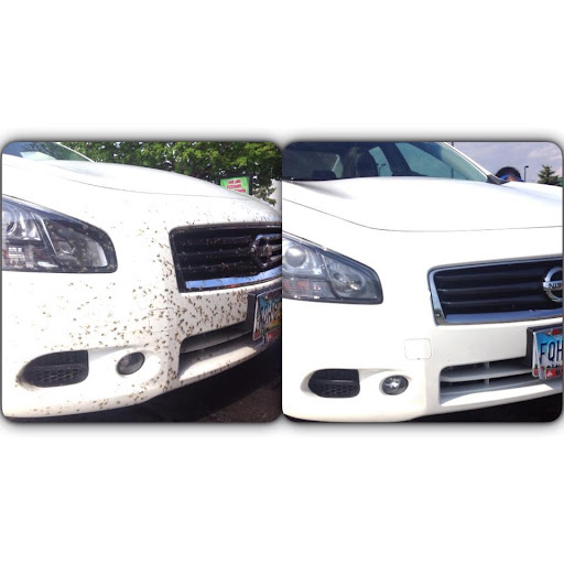 Westwood Car Wash en Auburn