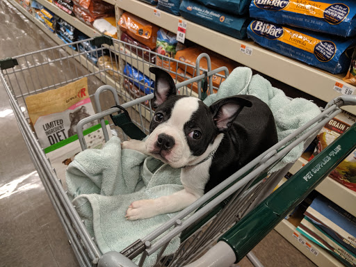 Pet Supply Store «Pet Supplies Plus», reviews and photos, 2410 Augusta Rd, West Columbia, SC 29169, USA