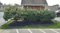 Miko Lawn & Landscape - Photo 2 - Car repair in Lancaster, PA, Lancaster