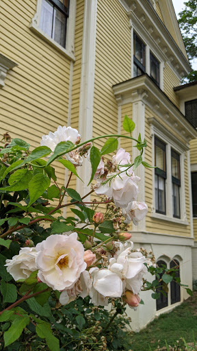 Historical Landmark «Thomas Wolfe Memorial», reviews and photos, 52 N Market St, Asheville, NC 28801, USA