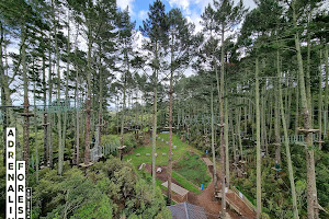 Adrenalin Forest Auckland image