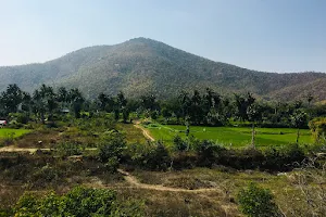 Kannamangalam Reserve Forest image
