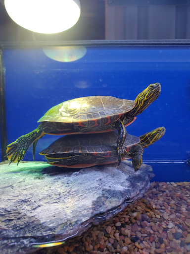 Pet Supply Store «PetSmart», reviews and photos, 16257 N Scottsdale Rd, Scottsdale, AZ 85254, USA