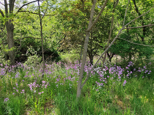 Nature Preserve «Asylum Lake Preserve», reviews and photos, 3836 S Drake Rd, Kalamazoo, MI 49008, USA