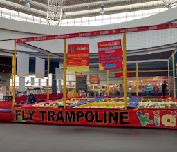 Fly Trampoline photo