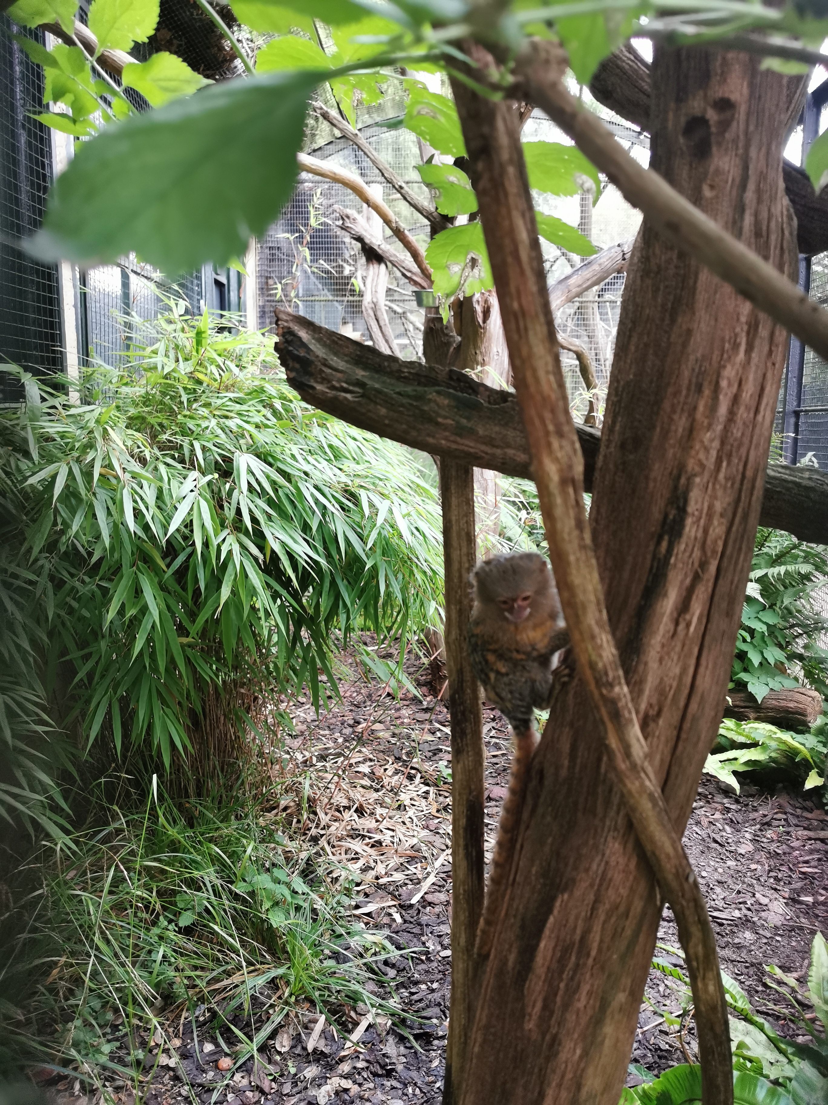 Photo n° 2 de l'avis de Axelle.o fait le 28/09/2021 à 08:59