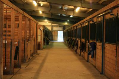 Horse transport supplier Ottawa