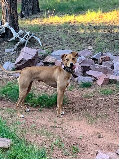 Tourist Attraction «Cave of the Winds», reviews and photos, 100 Cave of the Winds Rd, Manitou Springs, CO 80829, USA