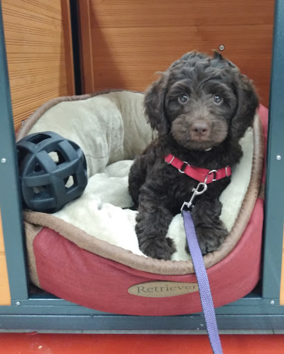 Home Improvement Store «Tractor Supply Co.», reviews and photos, 1706 Citrus Blvd, Leesburg, FL 34748, USA