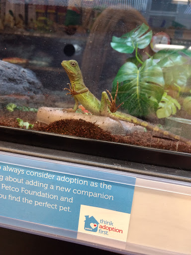 Pet Supply Store «Petco Animal Supplies», reviews and photos, 6020 Ball Rd, Buena Park, CA 90620, USA