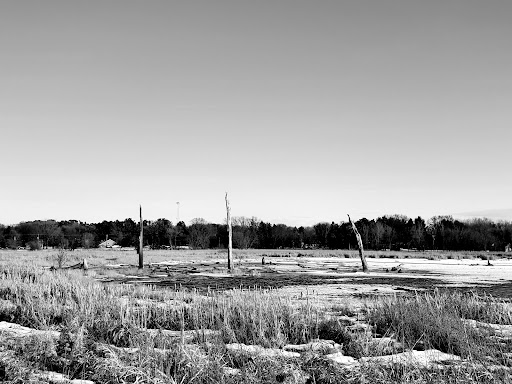 Nature Preserve «Tamarack Nature Center», reviews and photos, 5287 Otter Lake Rd, White Bear Township, MN 55110, USA