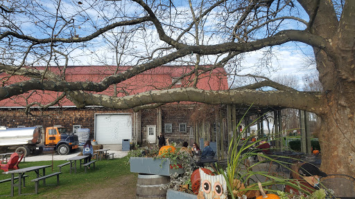 Vineyard «Westport Rivers Vineyard», reviews and photos, 417 Hixbridge Rd, Westport, MA 02790, USA