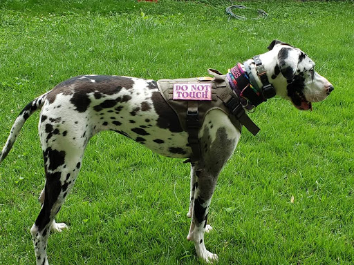 621 Terry Wilcutt Hwy, Russellville, KY 42276, USA