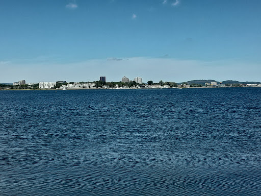 Auto Parts Store «NAPA Auto Parts - Genuine Parts Company», reviews and photos, 1260 Newfield St, Middletown, CT 06457, USA