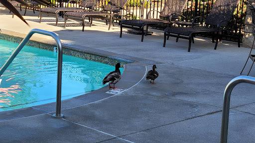 Residence Inn by Marriott Santa Barbara Goleta image